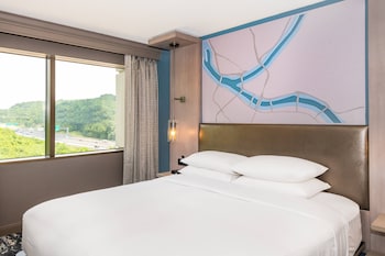 Room, 1 King Bed (Hearing Accessible)
