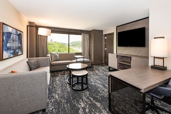 One Bedroom Suite, 1 King Bed and Sofa Bed