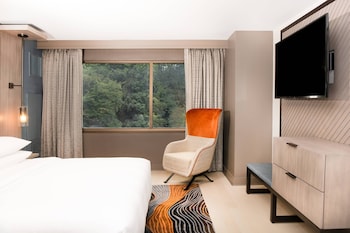 Executive Suite, 1 Bedroom, Smoking