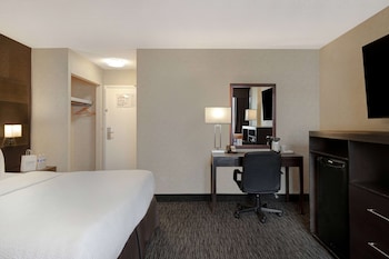 Business Room, 1 King Bed, Non Smoking