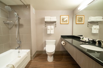 Premium Room, 1 King Bed (Premium Executive King)