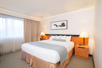 Superior Room, 1 King Bed (Superior King)