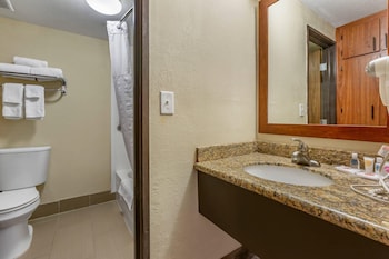 Deluxe Suite 1 King Bed, Sofa Bed, Sitting Area, Non-Smoking