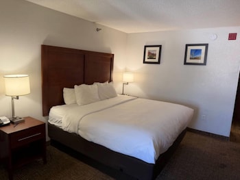 Room, 1 King Bed, Non Smoking