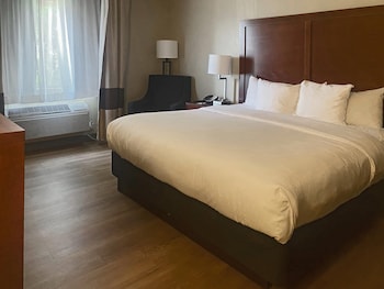 Room, 1 King Bed, Non Smoking