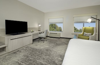 Room, 1 King Bed, Non Smoking