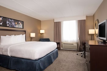 Room, 1 King Bed