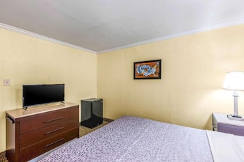 Standard Room, 1 Double Bed, Non Smoking