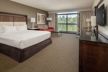 Room, 1 King Bed