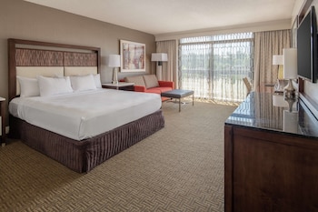 Room, 1 King Bed, Accessible (Mobility & Hearing, Roll-in Shower)