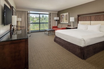 Room, 1 King Bed, Accessible, Bathtub (High Floor)