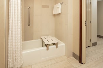 Suite, 1 Bedroom, Accessible