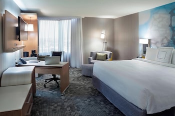 Room, 1 King Bed with Sofa bed