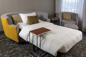 Room, 1 King Bed with Sofa bed