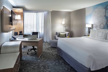 Room, 1 King Bed with Sofa bed