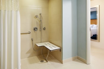 Room, 1 King Bed, Accessible (Mobility & Hearing, Roll-in Shower)