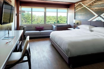 Room, 1 King Bed (Mobility Accessible, Tub)
