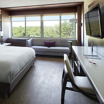 Room, 1 King Bed (Mobility Accessible, Tub)
