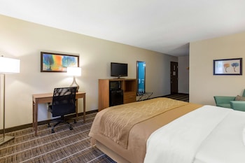 Room, 1 King Bed, Accessible, Non Smoking