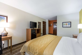 Standard Room, 1 King Bed, Non Smoking