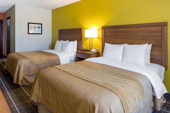 Standard Double Room, 2 Double Beds, Non Smoking