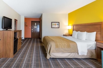 Room, 1 King Bed, Accessible, Non Smoking