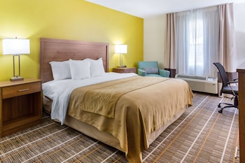 Standard Room, 1 King Bed, Non Smoking