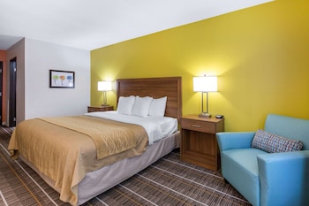 Standard Room, 1 King Bed, Non Smoking