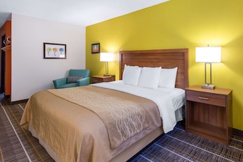 Room, 1 King Bed, Accessible, Non Smoking