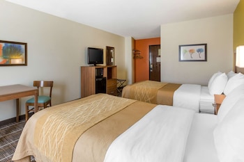 Standard Double Room, 2 Double Beds, Non Smoking