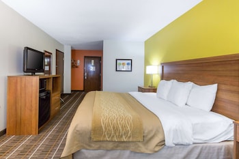 Standard Room, 1 King Bed, Non Smoking