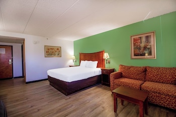 Junior Suite, Kitchenette