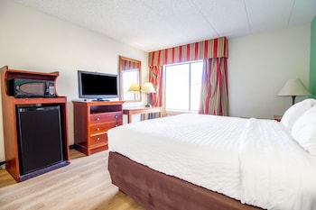 Room, 1 King Bed