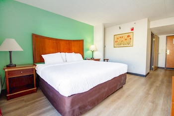 Room, 1 King Bed