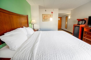 Room, 1 King Bed, Accessible