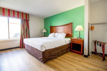 Room, 1 King Bed