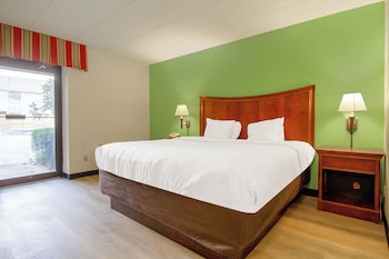 Room, 1 King Bed