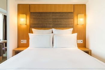 Swiss Advantage Room, Room, 1 Queen Bed