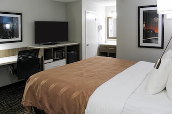 Standard Room, 1 King Bed, Non Smoking