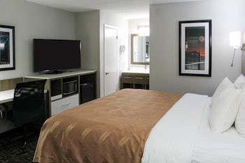 Room, 1 King Bed, Non Smoking
