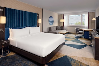 Room, 1 King Bed