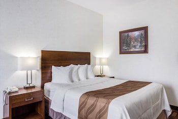 Room, 1 Queen Bed, Accessible, Non Smoking