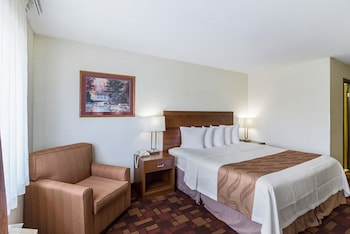Standard Room, 1 King Bed