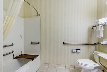 Room, 1 Queen Bed, Accessible, Non Smoking