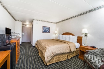 Room, 1 King Bed, Accessible, Non Smoking (Roll-In Shower)