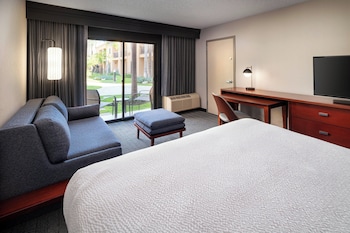 Room, 1 King Bed with Sofa bed
