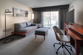 Suite, 1 King Bed with Sofa bed