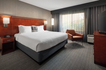 Suite, 1 King Bed with Sofa bed