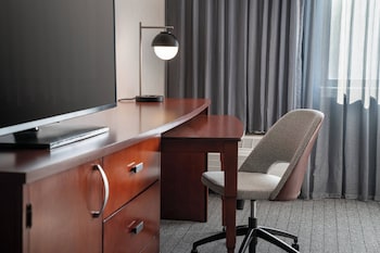 Room, 1 King Bed with Sofa bed