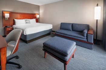 Room, 1 King Bed with Sofa bed